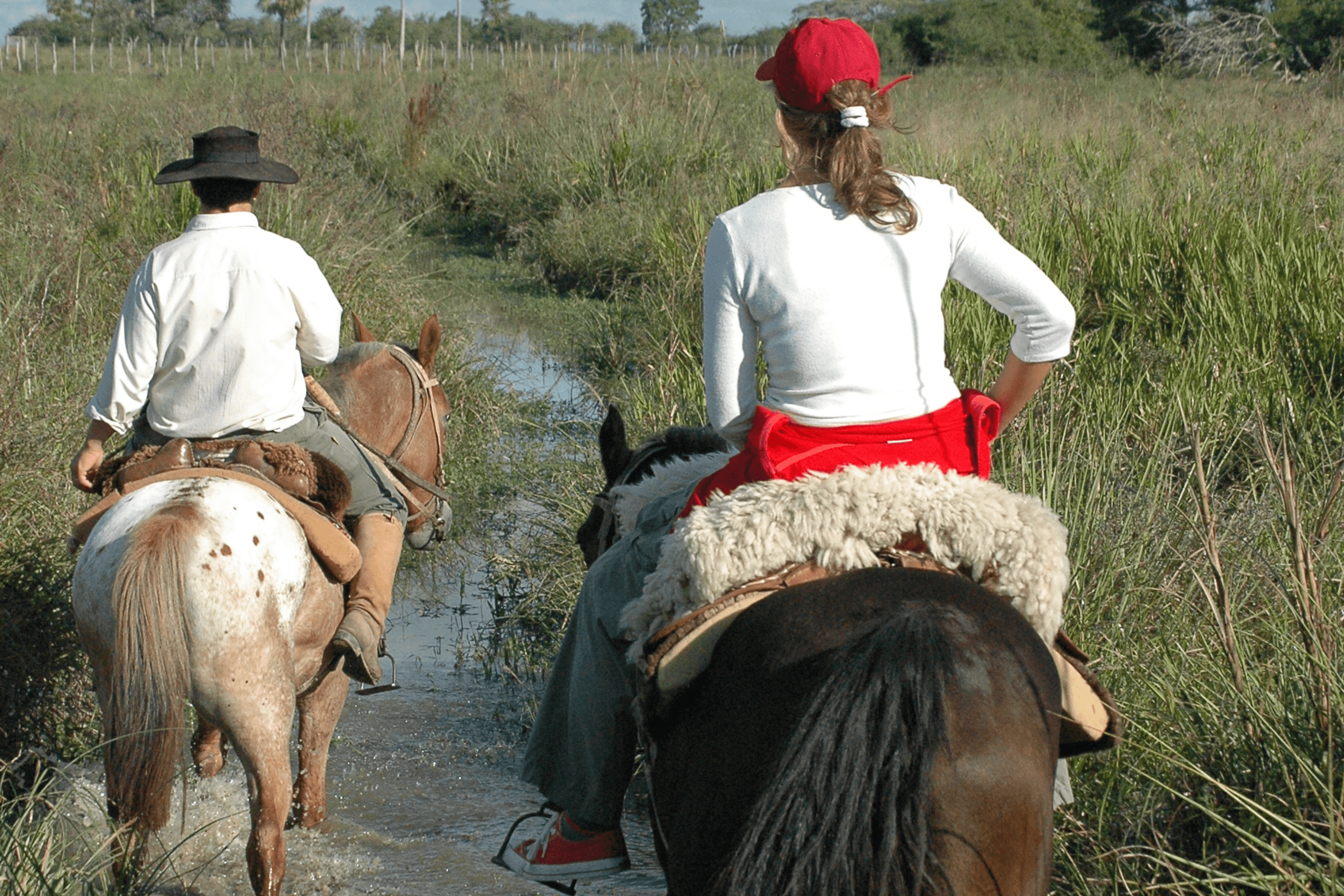 Horseback Riding