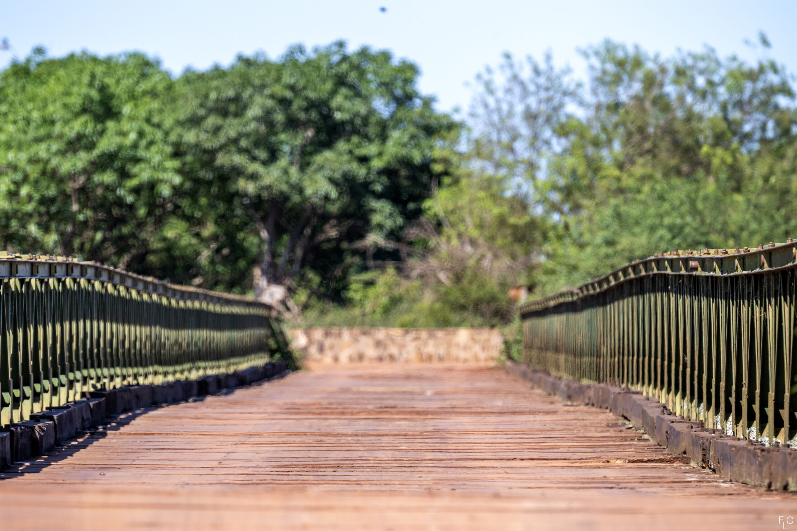 Walk through Iberá National Park & Camba Trapo