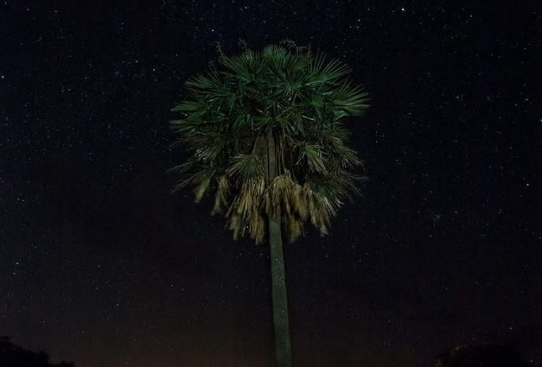 Noche estrellada Posada de la Laguna